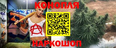 амф Ярославль